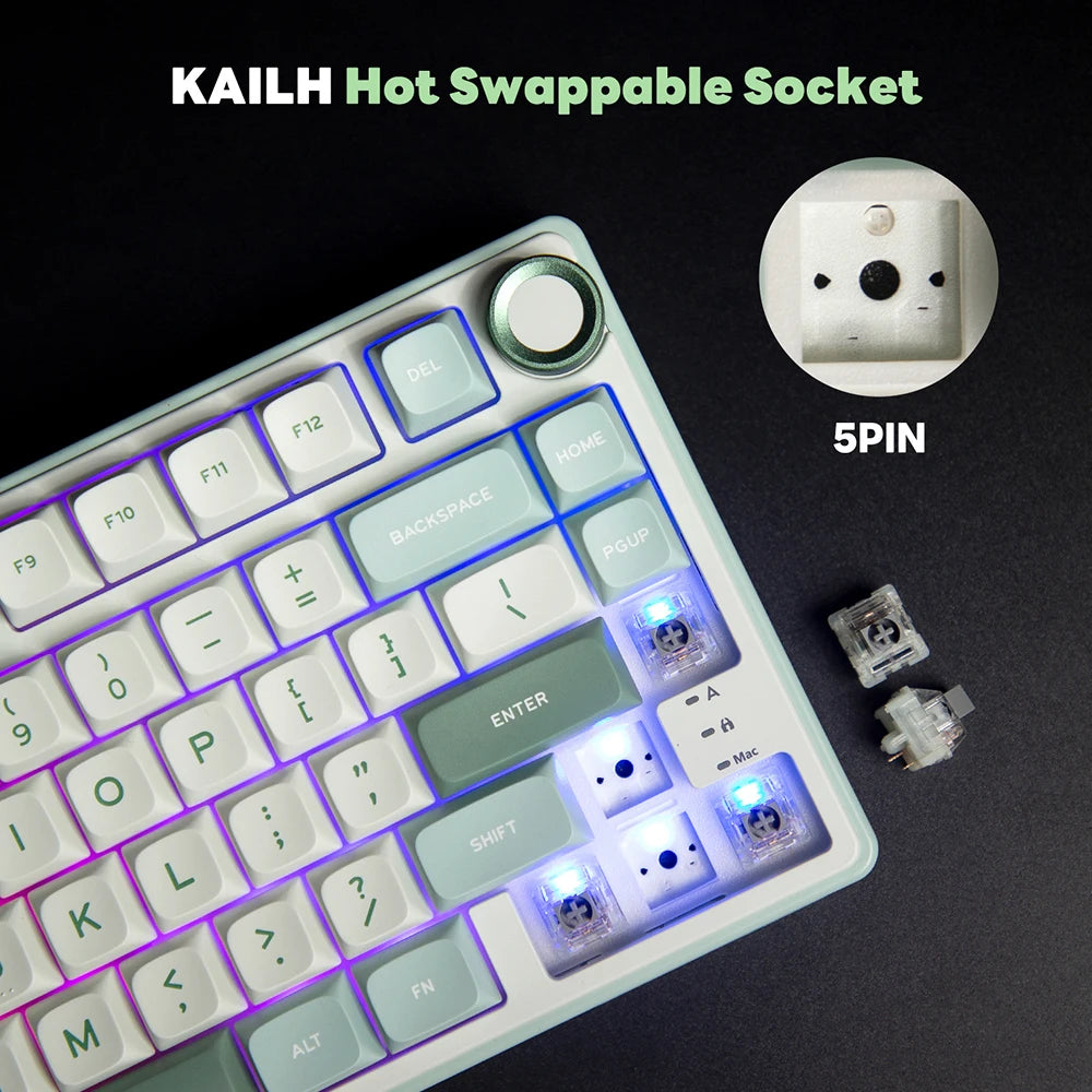 RK R75 Royal Kludge Wired Mechanical Keyboard 80 Keys 80% Gasket RGB Backlit Hot-swappable Gaming Keyboard with MDA PBT Keycaps